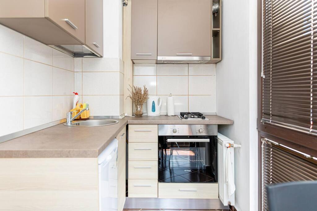 Apartment Bucur *