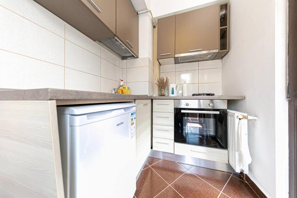 Apartment Bucur