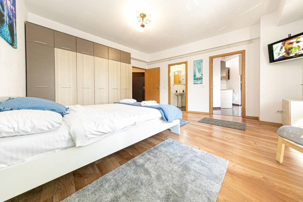 Apartment Bucur *