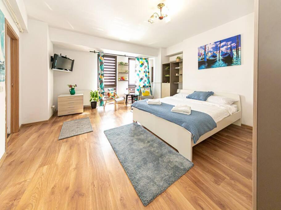 Apartment Bucur *