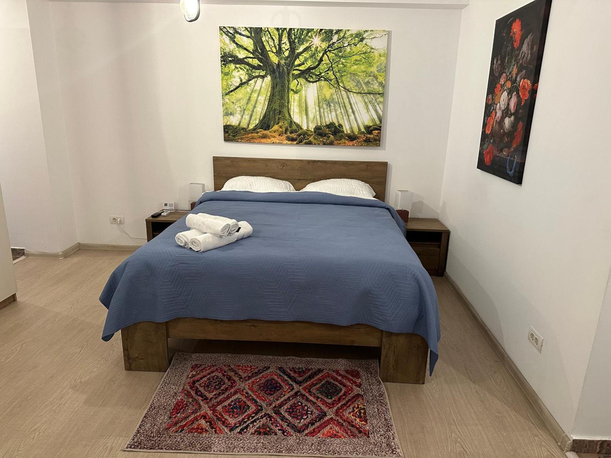 Apartment Bucur