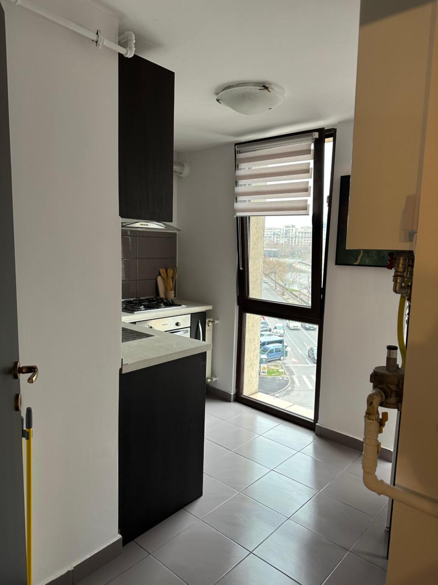 Apartment Bucur