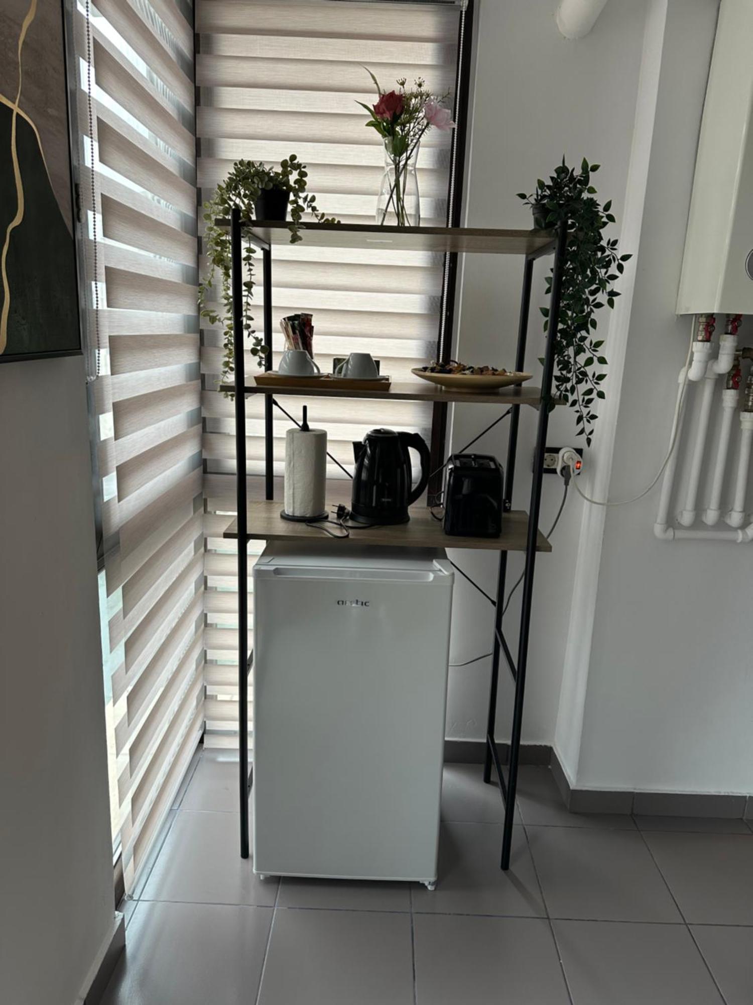 Apartment Bucur